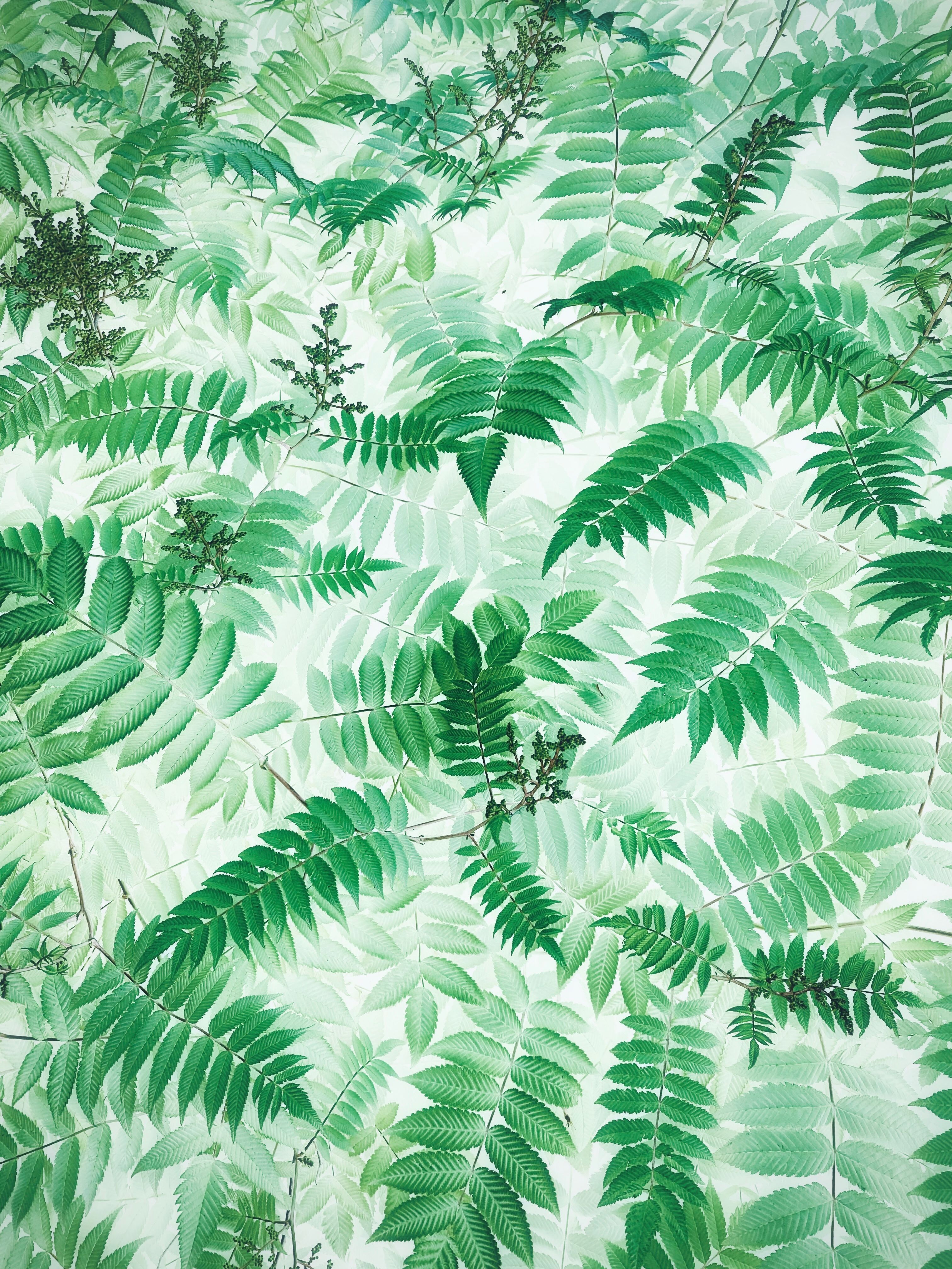 风景 3
